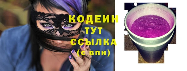 СК Няндома
