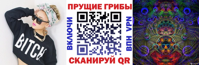 магазин продажи наркотиков  Мамадыш  Псилоцибиновые грибы мицелий 
